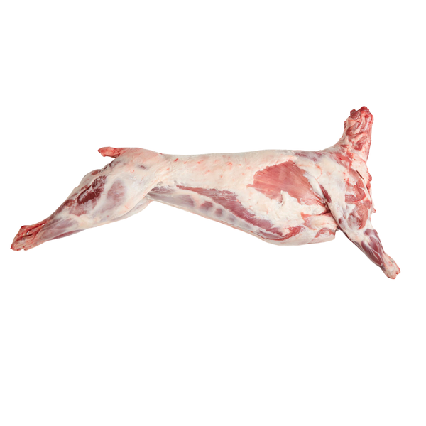 Fresh Goat