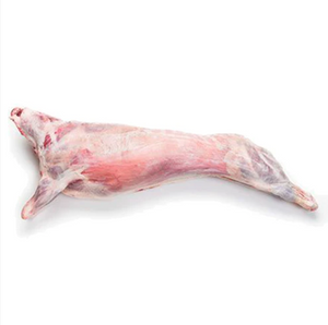 Fresh Najdi Whole Lamb