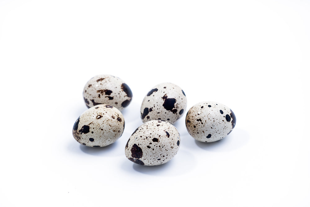 Fresh Quail Eggs