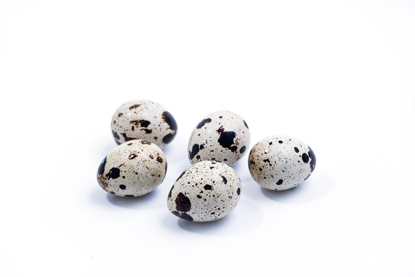 Fresh Quail Eggs